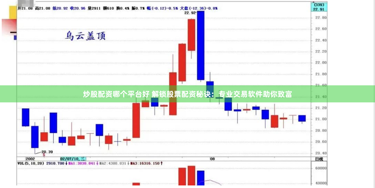 炒股配资哪个平台好 解锁股票配资秘诀：专业交易软件助你致富