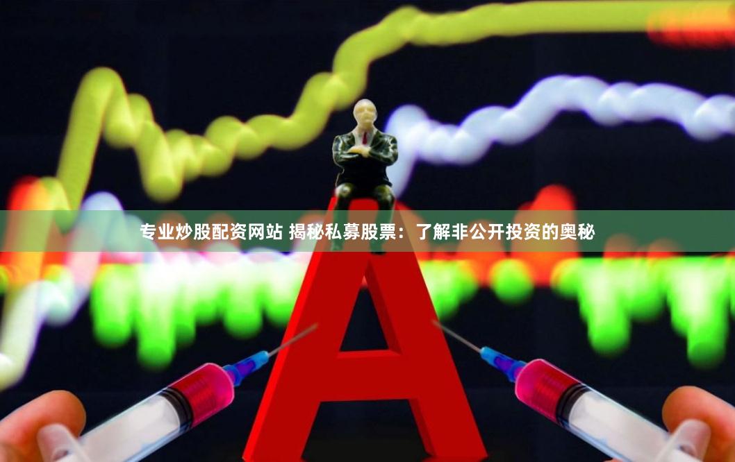 专业炒股配资网站 揭秘私募股票：了解非公开投资的奥秘