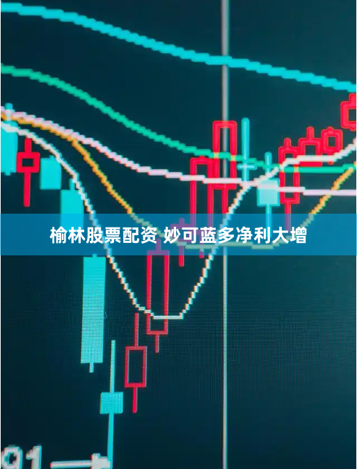 榆林股票配资 妙可蓝多净利大增