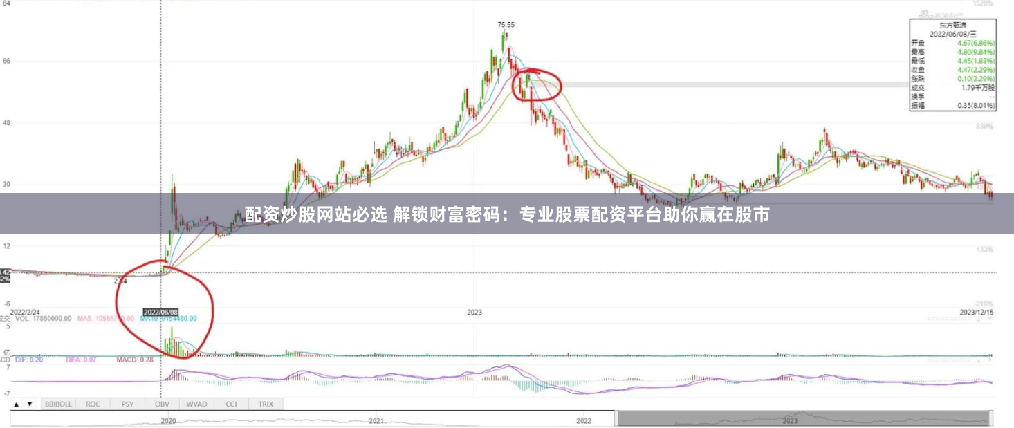 配资炒股网站必选 解锁财富密码：专业股票配资平台助你赢在股市