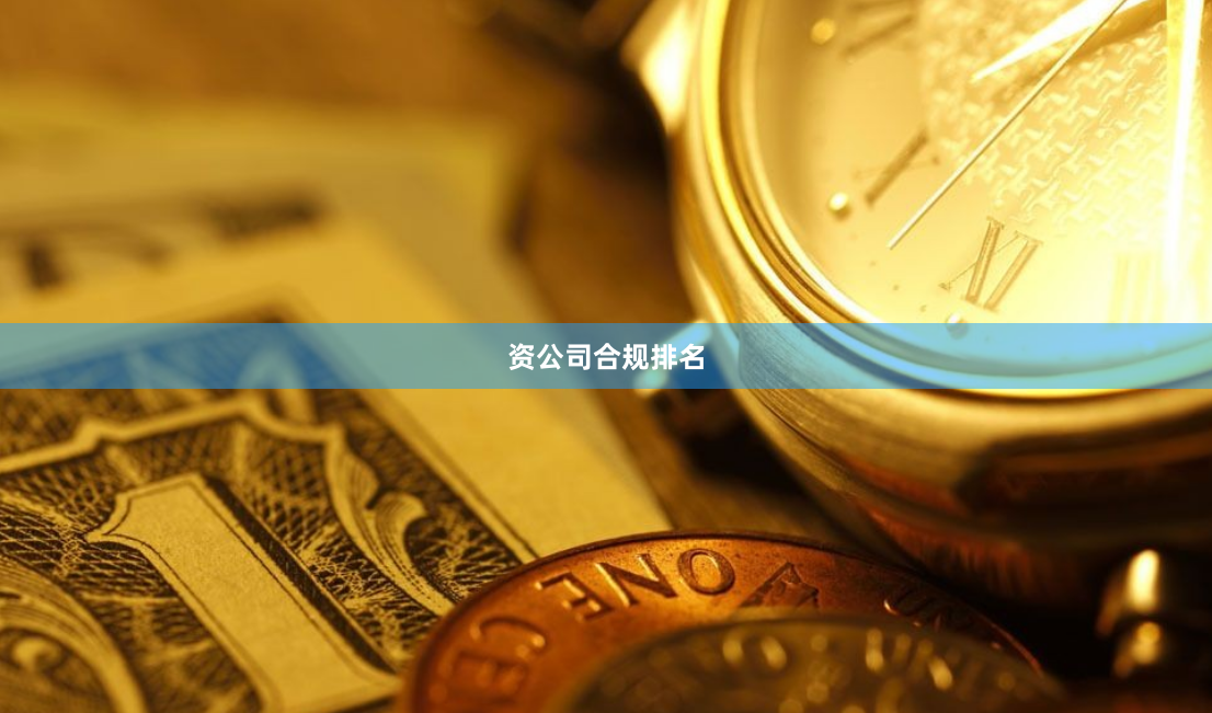 资公司合规排名