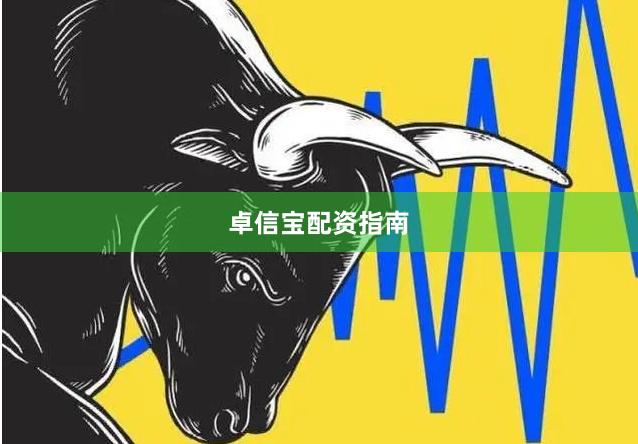 卓信宝配资指南